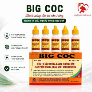 BIG COC (10ml) marphavet khắc tinh cầu trùng ecoli thương hàn heo con gia cầm gia súc
