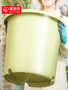 Deepot Alice Plastic Resin Flower Pot จานใส่ดอกไม้แบบระบายอากาศได้สำหรับใช้ในบ้าน จานใส่ดอกไม้รูปต้นไม้ จานใส่ดอกไม้รูปดอกกุหลาบ Deepot Alice