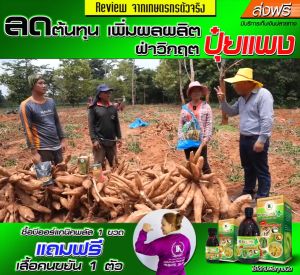 ฮอร์โมนพืช บี ออร์แกนิค พลัส ปูยน้ำสารเสริมประสิทธิภาพ สารบำรุงพืช B-Organic Plus 100 cc