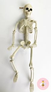 Pinky Bee Dekorasi Halloween Tengkorak 60cm 66160901