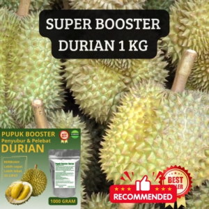 Pupuk organik booster perangsang dan pelebat buah Durian 1 KG cepat berbuah tidak mudah rontok