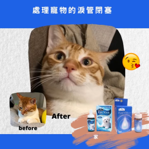 Blue Bay Eye Vita (Original) Oral Suplement For Dogs & Cats 20ml