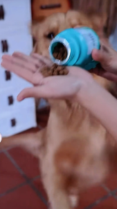 PETHEALER Chicken Care Snack Cho Chó Mèo Viên Nhai Vị Gà Dễ Ăn Hỗ Trợ Chăm Sóc Thú Cưng Mỗi Ngày