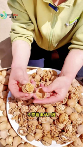 Walnut Kacang Halal Xinjiang Paper Shell Walnuts 1kg Natural Pregnant Snack Healthy Nuts