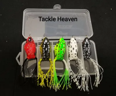 Super Frog Set with Transparent Box
