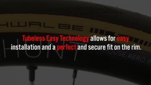 SCHWALBE PRO ONE TUBELESS TYRE TIRE TAYAR 700 X 25C