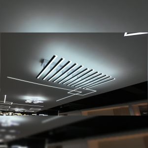 Modern Design Two Colors Ceiling Lights for Living Room Warm Lights Corridor Light Center Lights Many LED Strip Lights