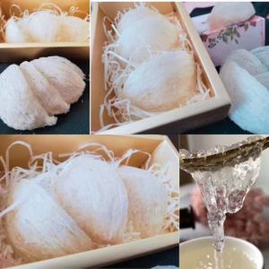 SARANG BURUNG WALET BERSIH NATURAL n HALAL 10gram