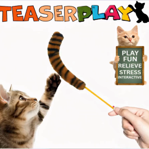 Marukan Nyanta Teaser Moving Paw