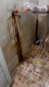 Toilet Cleaner- Pembersih Kerak Kamar Mandi Yang Membandel