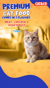 Cat & Co Premium Cat Food Chicken and Turkey 1kg cat foods dry cat food