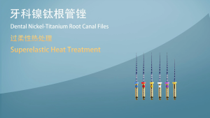 NICEDEN Dental Endo Motor Root Canal Files Niti Engine Endodontic File Rotary