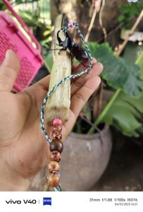 หลักมัดกว่าง 2 อันราคา120โปรโมชั่นสวยๆออกใหม่