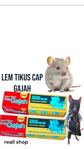 lem tikus .bagus ampuh dijamin lengket  tidak lepas. murah