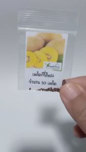 50 เมล็ด กีวีสีทอง กีวีสีเหลือง กีวี หรือ กีวีฟรุต (Kiwifruit) กีวี่ กีวีฟรุต เมล็ดกีวี เมล็ดกีวี่ เมล็ดกีวีฟรุต เมล็ดกีวี่ฟรุต