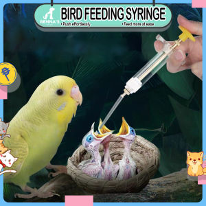 Rennas Feeding Syringe: A Comprehensive Guide