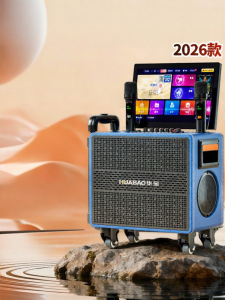 HUABAO | Portable Home and Outdoor KTV Speaker Set