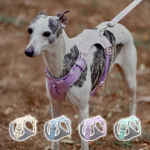 HamshMoc Pet Vest Breathable Mesh Adjustable Straps PVC Buckle Outdoor Walking