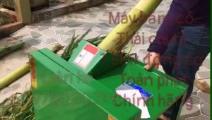 Máy băm cỏ voi tại long an
