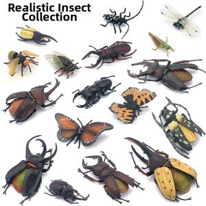 Large Beetle Insect Model Educational Toy