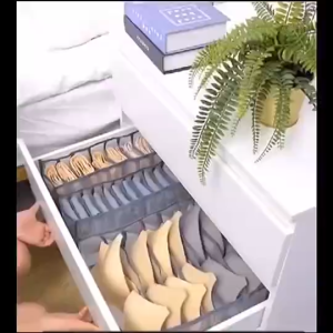 Foldable Tudung Storage Box Socks Bra Panties Storage Box Underwear Organizer tempat Letak Tudung Wardrobe Organizer
