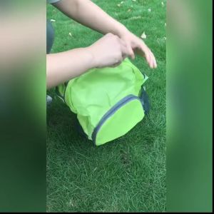 Arturo Travel Bag 2 Way Foldable Water Proof Bagpack