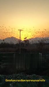 นกกลัวสินค้ามากที่สุด 🕊 HS เครื่องไล่นก ไล่นกพิราบถาวร ทำงานโดยพลังงานแสงอาทิตย ป้องกันฝนและฟ้าผ่า ไล่ด้วยอัลตราซาวนด ไล่นกพิราบ อุปกรณ์ไล่นก ที่ไล่นก Bird Repeller เครื่องไล่นก Solar ไล่นกอัตโนมัติ เครื่องไล่นก ไฟ ที่ไล่นกพิราบ