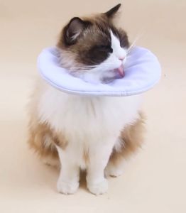 Vòng cổ chống liếm cho Chó Mèo mẫu cải tiến bằng mút xốp siêu nhẹ - Love Pets Shop
