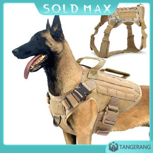Rompi Anjing Besar: Desain & Aksesoris Militer