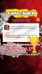 Juara TerusEssen ikan Nila Media LumutEssen Ikan NIla Media PeletEssen Ikan Nila Paling Gacor