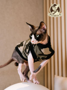 Pure Cotton Breathable Air Conditioning Vest for Pet Cats Summer Thin Sphinx Devon Rex Curly Hair Cat Clothes Stripe Shirt Black Camouflage