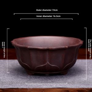 Large round Purple Clay Lotus Pot with Golden Elm Bamboo Indoor Breathable Classical Bonsai Tray Handmade Drainage Home Decor