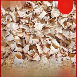 Wild Yunnan Special Products Nutritious Dried Shitake Mushroom Stems 500g Soup Making Ingredients Health Food Dry Goods