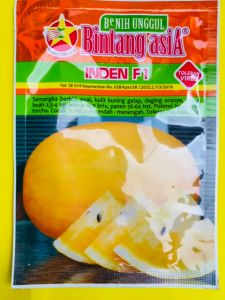 Benih Semangka kuning luar dalam berbiji INDEN F1 DARI BINTANG ASIA 20 gr