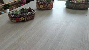 Natural Organic Perlite 5QT for Plants Potting Mix Indoor Outdoor Garden Soil Amendment for Enhanced Drainage Seed Starter Root Growth for Succulents Cactus Orchids Money Trees Vegetables