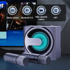 On Hand Speaker with Microphone Bluetooth Microphone Speaker Smart External Karaoke 100W Family Party Ktv YS-207