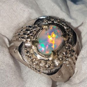 kalimaya milky banten jarong siang malam termurah