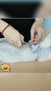 Dog Traction Rope Pet Rope Cat Rope Pet Leash Pet Walking Vest Type Chest Strap RANDOM COLOR