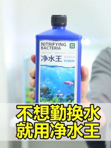 Dung dịch làm trong nước bể cá Clarifying 100ml (tặng bông lọc)