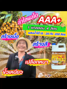 3เอจัมโบ้ ขนาด 4 ลิตร ฮอร์โมนพืช ฉีดพ่นทางใบ บำรุงผล ขยายผลโต เปลือกหนา สร้างเนื้อ สร้างสี ป้องกันผลหลุดร่วง