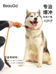 Beaugo Shiba Inu Hand Holding Rope Small Size Dogs P Chain Adjustable Collar Puppy Medium Large Dog Training Explosion-Proof P Rope