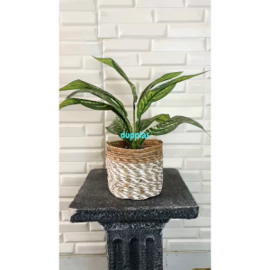 Tanaman Hias Pohon Artificial Keladi X9 Semilatex Cover Pot Seagrass Coklat Mini Hiasan Meja Kantor Dekorasi Ruangan