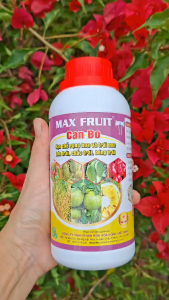 [VTNN TIEN KHOA] Phân bón lá Max Fruit Canxi Bo giúp hạn chế rụng hoa và trái non  tăng khả năng thụ phấn và đậu trái chai 500ml