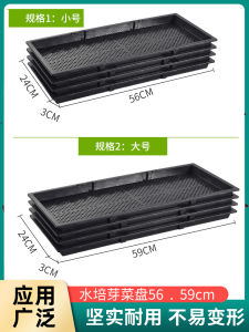 Black Sprout Dish Planting Seedling Tray Bean Sprouting Wheatgrass Sprout Seedling Tray Succulent Seeding Culture Box