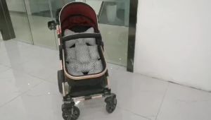 Baby Stroller Mattresses & Newborn Pushchair Accessories: A Comprehensive Guide