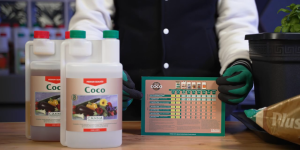 CANNA Coco A & B | ปุ๋ยธาตุอาหารหลักครบถ้วน