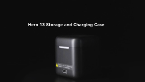 TELESIN Battery Charger Storage Box Charging Kit for GoPro HERO 13 12 11 10 9 BLACK