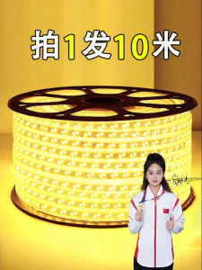BOOMING LIGHTING | Waterproof Super Bright LED Light Strip 10m for Indoor and Outdoor 220V