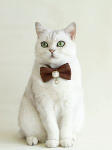 Plaid Waffle Pet Collar Bow Tie Pearl Pendant Diamond Butterfly Knot Cat Dog Necklace Accessories Vintage Mermaid Style Universal