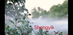 Shengyik Telescoping Spray Wand for Pressure Washer Cleaner